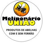 Roberto Mendonça