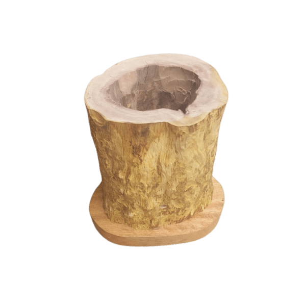 Caixa Ecológica - Galho Oco de Jabuticabeira (500ml) - Imagem 3