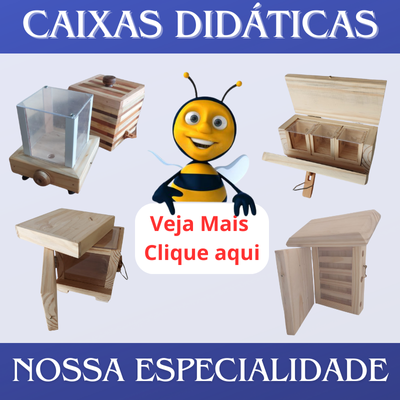 CAIXAS DIDÁTICAS clique